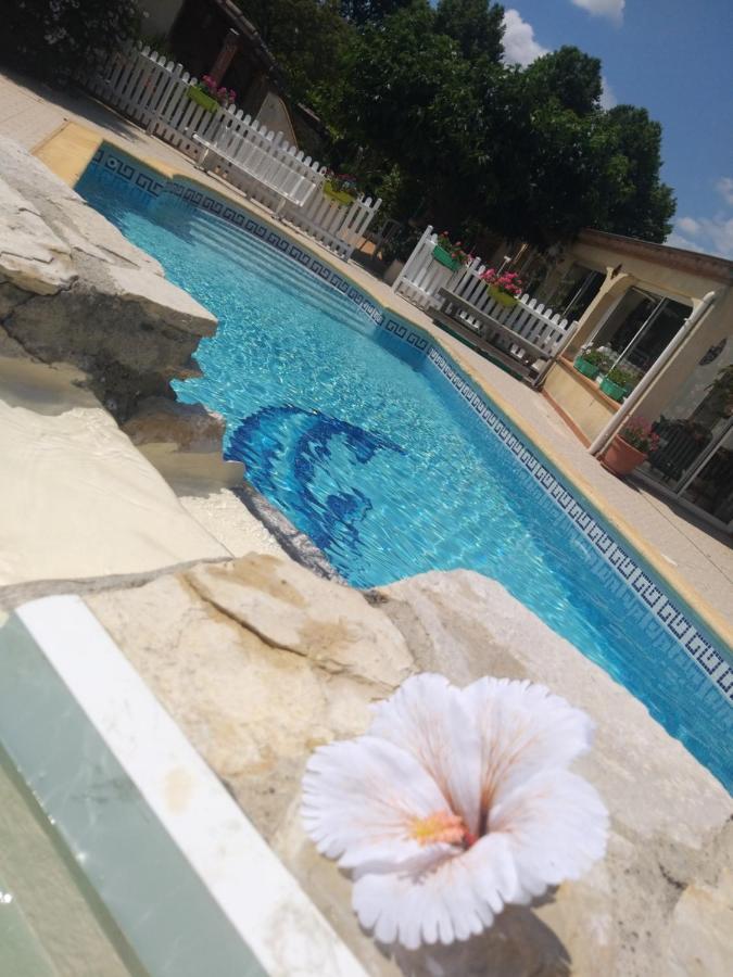 Gite T2 Avec Grande Piscine Apartment Villeneuve-la-Comptal Exterior photo